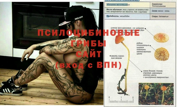 соль ск Горняк