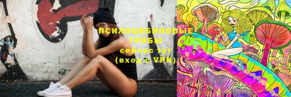 марки lsd Горно-Алтайск