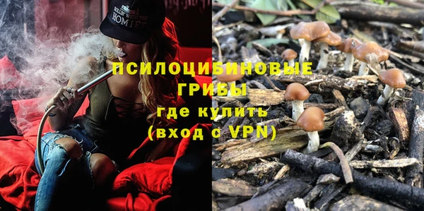 соль ск Горняк