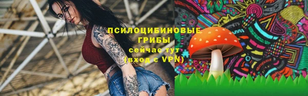 марки lsd Горно-Алтайск